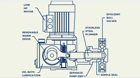 GFS Series Pump Section View